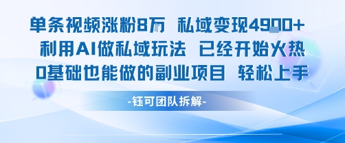 单条视频私域变现4.9k+利用AI做私域玩法 已经开始火热0基础也能做的副业项目轻松上手-辰风资源站