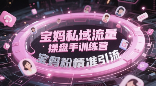 宝妈私域流量操盘手训练营，宝妈粉精准引流-辰风资源站