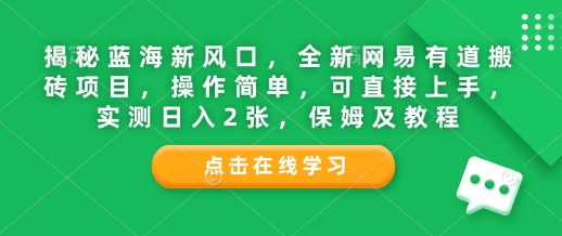 揭秘蓝海新风口，全新网易有道搬砖项目，操作简单，可直接上手，实测日入2张，保姆及教程-慕云辰风博客