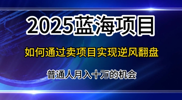 2025蓝海项目，普通人如何通过卖项目实现逆风翻盘，月入10个【揭秘】-辰风资源站