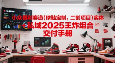 小众暴利赛道(球鞋定制，二创项目)实体+私域2025王炸组合  交付手册-辰风资源站
