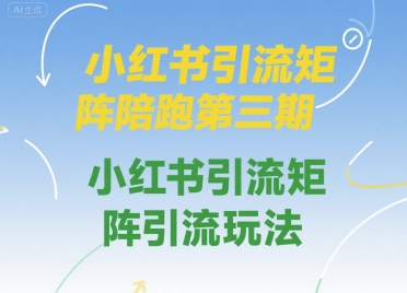 小红书引流矩阵陪跑第三期，小红书引流矩阵引流玩法-辰风资源站