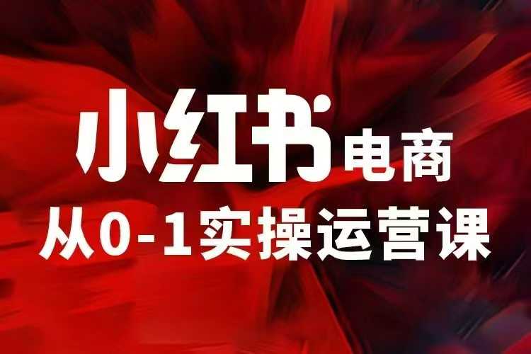 小红书电商运营，97节小红书vip内部课，带你实现小红书赚钱-慕云辰风博客