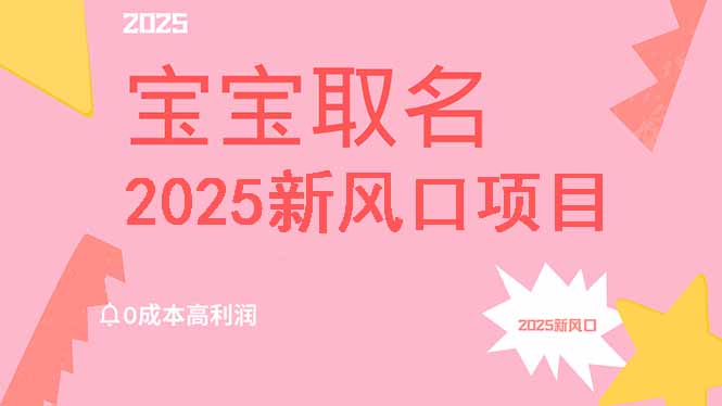 （14593期）2025新风口项目宝宝取名，0成本高利润，附保姆级教程，月入过万不是梦-慕云辰风博客