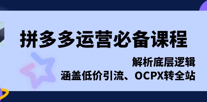 （13700期）拼多多运营必备课程，解析底层逻辑，涵盖低价引流、OCPX转全站-慕云辰风博客