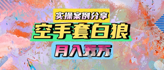 空手套白狼，月入过1W，实操案例分享-辰风资源站