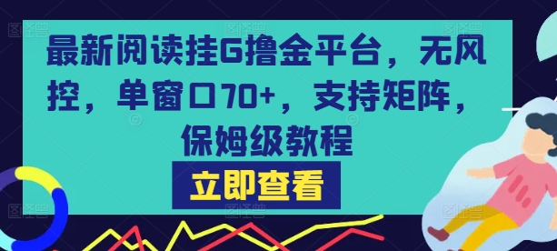 最新阅读挂G撸金平台，无风控，单窗口70+，支持矩阵，保姆级教程【揭秘】-辰风资源站