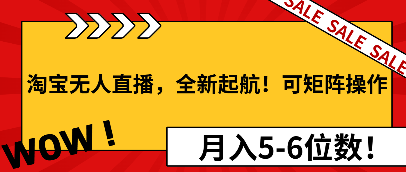 （13946期）淘宝无人直播，全新起航！可矩阵操作，月入5-6位数！-慕云辰风博客