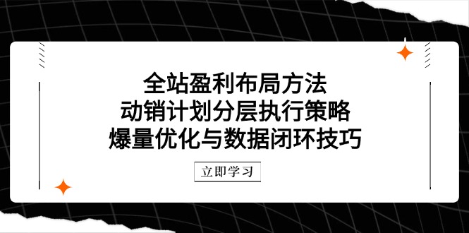 （14698期）全站盈利布局方法：动销计划分层执行策略，爆量优化与数据闭环技巧-辰风资源站