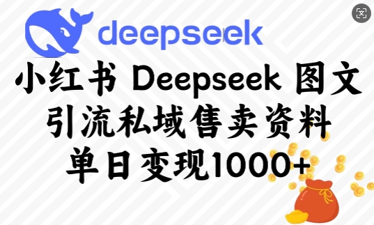 小红书Deepseek图文引流私域售卖资料，单日变现多张-慕云辰风博客