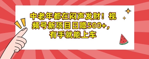 中老年都在闷声发财，视频号新项目日入多张，有手就能上车-慕云辰风博客