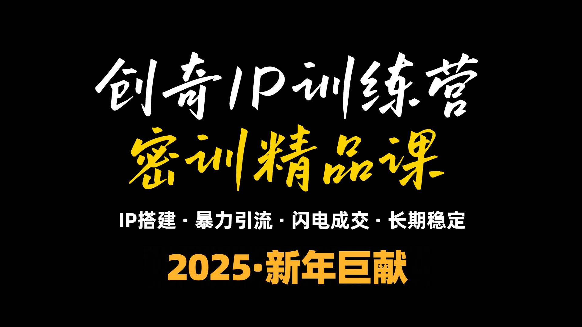 （13898期）2025年“知识付费IP训练营”小白避坑年赚百万，暴力引流，闪电成交-辰风资源站
