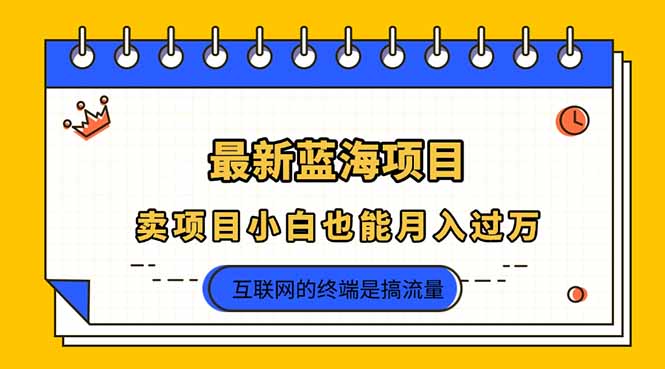 （14289期）2025年最新蓝海项目，卖项目小白也能月入过万-辰风资源站