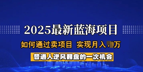 2025蓝海项目，普通人如何通过卖项目，实现月入过W，全过程【揭秘】-慕云辰风博客