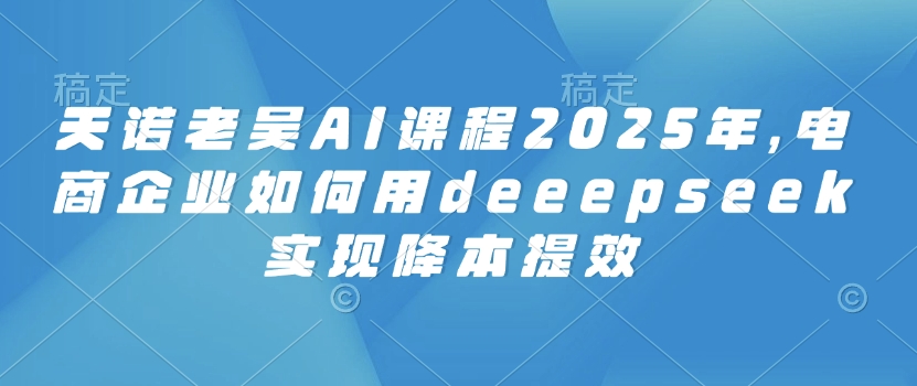 天诺老吴AI课程2025年，电商企业如何用deeepseek实现降本提效-慕云辰风博客