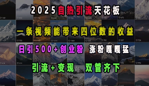 2025自热引流天花板，一条视频能带来四位数的收益，引流+变现双管齐下，日引500+创业粉，涨粉嘎嘎猛-慕云辰风博客