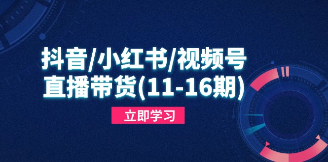 （14611期）抖音/小红书/视频号/直播带货(11-16期)，快速掌握平台规则，打造爆款内容-辰风资源站