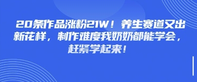 20条作品涨粉21W！养生赛道又出新花样，制作难度我奶奶都能学会，赶紧学起来-辰风资源站
