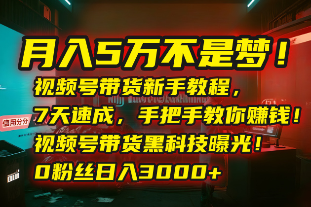 （15595期）月入5万不是梦！视频号带货新手教程，7天速成，手把手教你赚钱！视频号…-辰风资源站