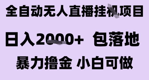 最新全自动抖音无人直播挂G项目，日入2k+ 包落地暴力撸金，小白可做【揭秘】-辰风资源站