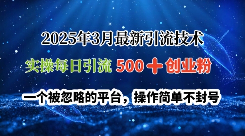 2025年3月最新引流技术，实操每日引流500+创业粉，一个被忽略的平台，操作简单不封号-慕云辰风博客