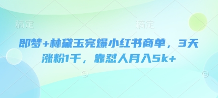 即梦+林黛玉完爆小红书商单，3天涨粉1千，靠怼人月入5k+-辰风资源站