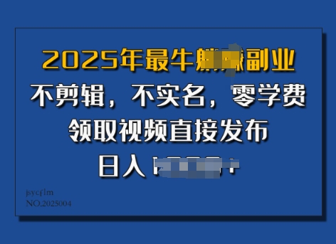 ​2025年最牛副业，不剪辑，不实名，零学费，零粉可做，领取视频直接发布，有播放就有收益-慕云辰风博客