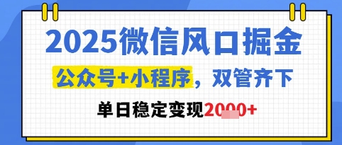 2025微信风口掘金，公众号+小程序双管齐下，单日稳定变现1k+【揭秘】-辰风资源站