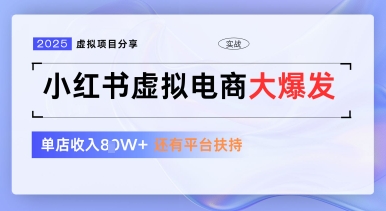 小红书虚拟电商项目，平台大力免费流量扶持，低门槛1拖3玩法-辰风资源站
