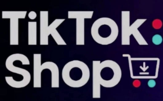 TikTokShop跨境电商0-1实战，手把手教你低成本启动海外市场-辰风资源站
