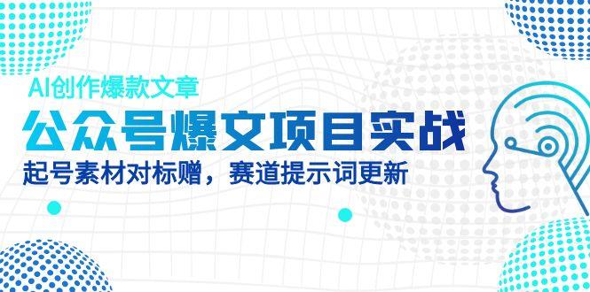 （14709期）公众号爆文项目实战，AI创作爆款文章，起号素材对标赠（附赛道AI提示词）-辰风资源站