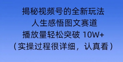 Deepseek和即梦结合，做一个【人生图文感悟】的视频号-辰风资源站
