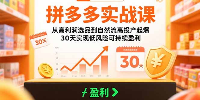 （15586期）拼多多实战课：从高利润选品到自然流高投产起爆 30天实现低风险可持续盈利-辰风资源站