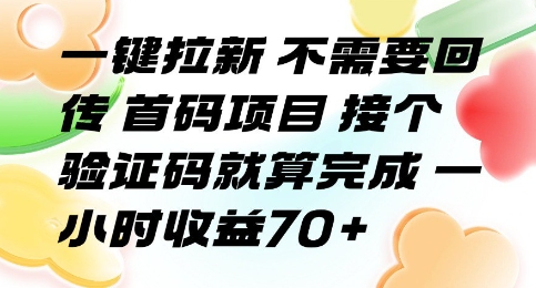 一键拉新 不需要回传 首码项目 接个验证码就算完成 一小时收益70+【揭秘】-辰风资源站