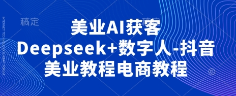 美业AI获客Deepseek+数字人-抖音美业教程电商教程-辰风资源站