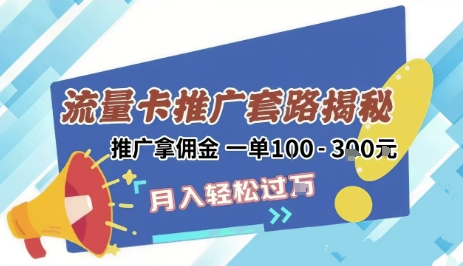 2025年外面卖1500的流量卡项目最新玩法，绿色无门槛对新手非常友好，日入3张+-辰风资源站