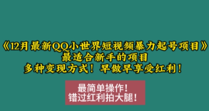 12月最新QQ小世界短视频暴力起号项目，最适合新手的项目，多种变现方式-慕云辰风博客