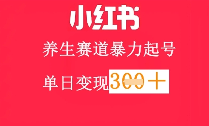 小红书养生赛道，暴力起号，轻松日入3张+-辰风资源站