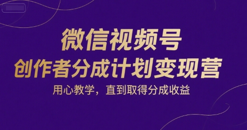 微信视频号创作者分成计划变现营，用心教学，直到取得分成收益-辰风资源站