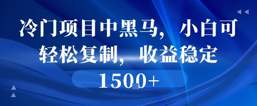 冷门项目中黑马，小白可轻松复制，收益稳定1.5k-辰风资源站