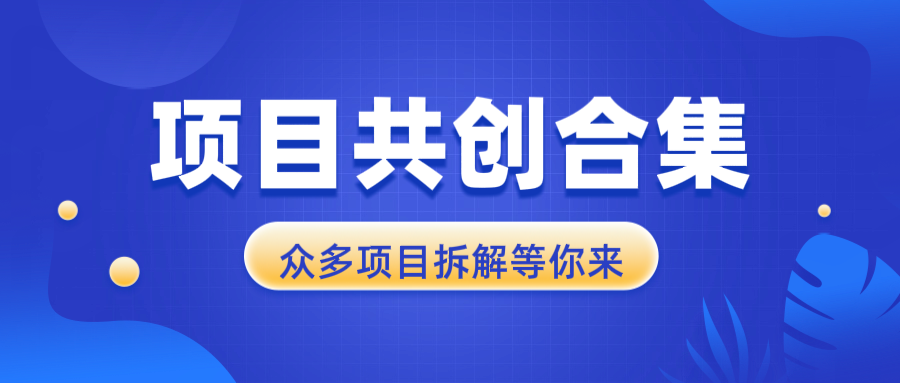 （13778期）项目共创合集，从0-1全过程拆解，让你迅速找到适合自已的项目-慕云辰风博客