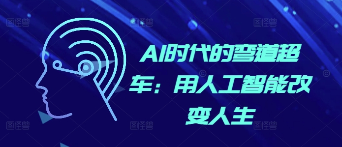 AI时代的弯道超车：用人工智能改变人生-辰风资源站