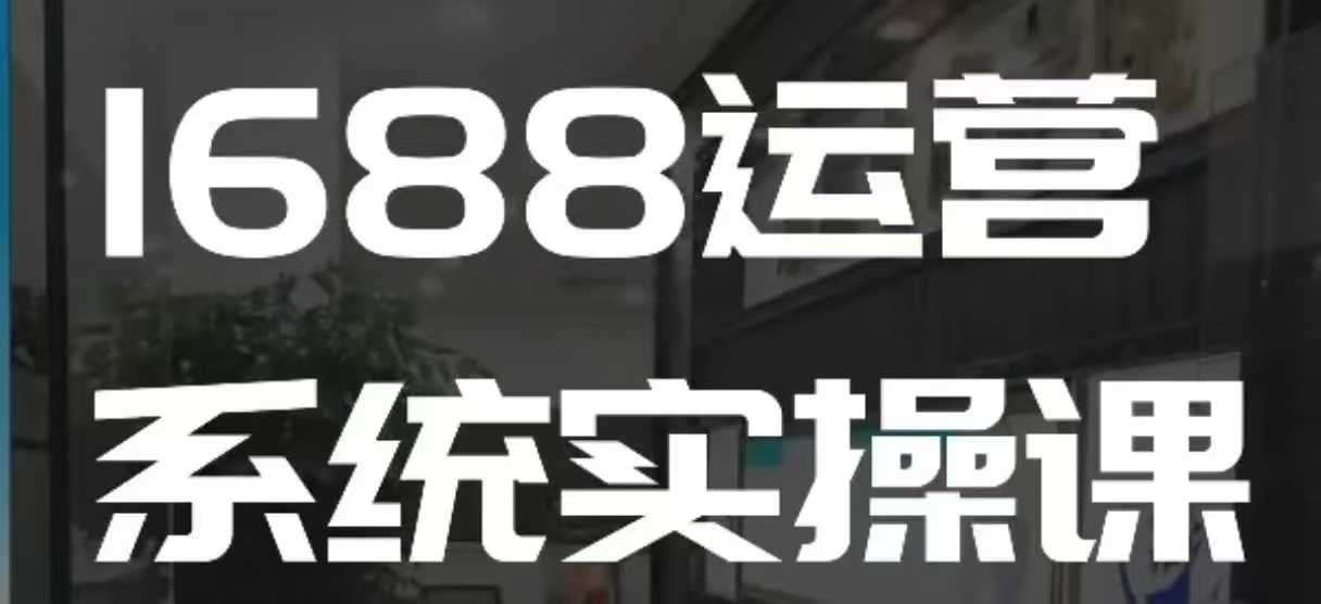 1688高阶运营系统实操课，快速掌握1688店铺运营的核心玩法-慕云辰风博客