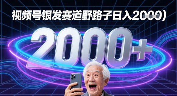 蝴蝶号银发赛道流量密码野路子日入多张-辰风资源站