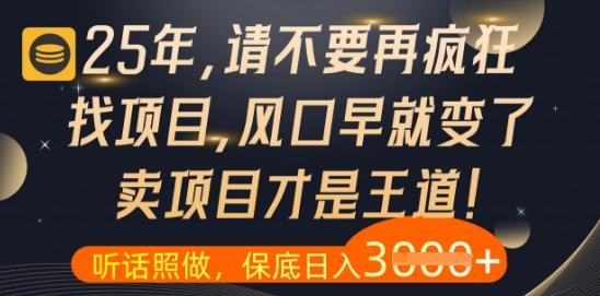 什么？25年你还在疯狂找项目做，醒醒吧，看完这些你全都懂了【揭秘】-辰风资源站