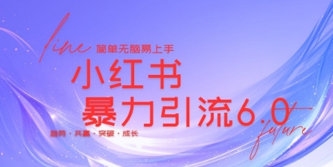 最新小红书暴力引流私域玩法，日引200+兼职粉，简单无脑操作-辰风资源站