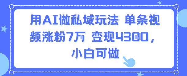 用AI做私域玩法，单条视频涨粉7W变现4.3k，小白可做-辰风资源站