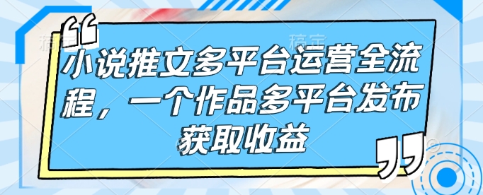 小说推文多平台运营全流程，一个作品多平台发布获取收益-慕云辰风博客