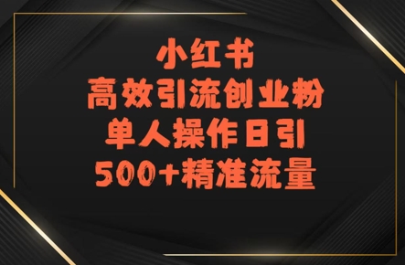 小红书高效引流创业粉，单人操作日引500+精准流量-辰风资源站
