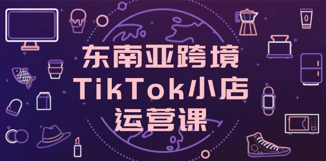 （14390期）东南亚跨境TikTok小店运营课，掌握店铺设置与流量转化核心技巧-辰风资源站